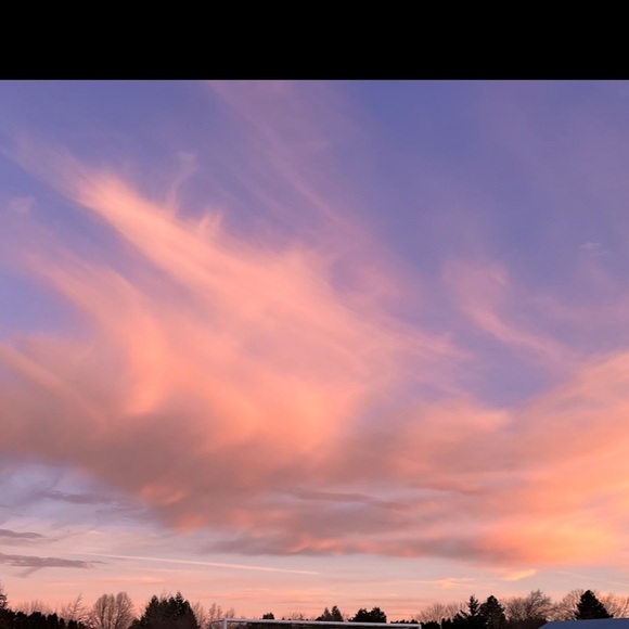 Meet your Posher, Gabby - Picture 1 of 1